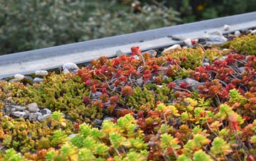 the cost of Gorteneorn green roof installation