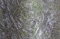 Gorteneorn fibreglass roof work